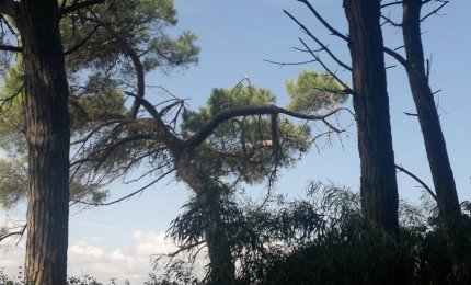 Il Club Alpino Italiano ad Andrano per insegnare a rilevare i sentieri del parco Otranto Tricase Santa Maria di Leuca