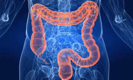 Screening e nuovi farmaci per combattere il tumore al colon-retto