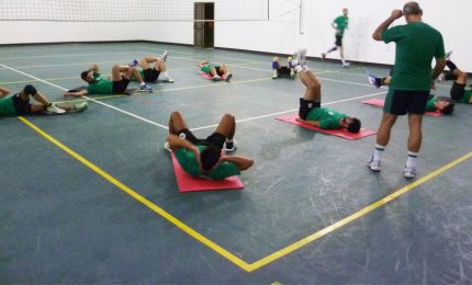 La Showy Boys vuole costruire qualcosa di importante