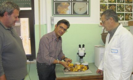 Funghi velonosi, una famiglia salvata dai micologi della Asl