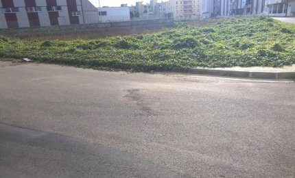 Degrado ed abbandono in via Montinari
