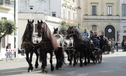 La 'Fiera di Santa Caterina d'Alessandria'