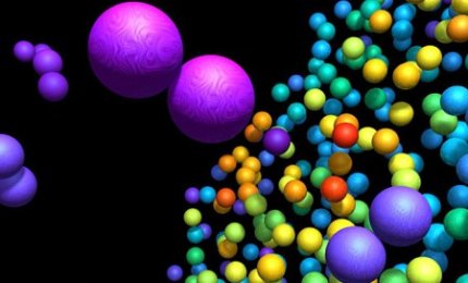 Al via il bando per il Master di Biologia Molecolare