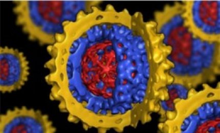 Nanoparticelle d’oro identificano e uccidono le cellule tumorali 