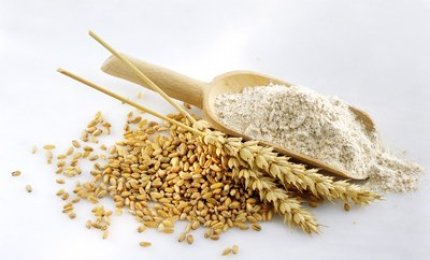 Una nuova tecnica per trovare il glutine negli alimenti