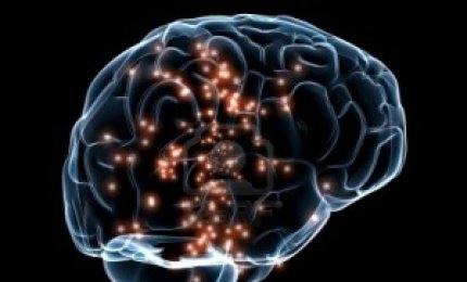 Un farmaco migliora la plasticità del cervello