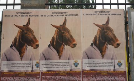 Quando ti diranno che sei asino, tu raglia