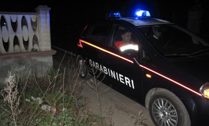 Punto contro camion per tentare di evitare un gatto