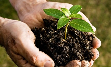 Chi farà i corsi di compostaggio?