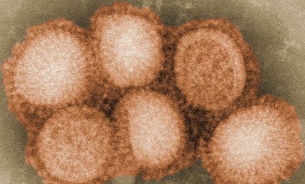 Settima vittima dell'influenza in provincia di Lecce