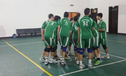 Giovani Showy Boys in piena attività