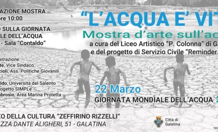 Giornata mondiale dell'acqua, una mostra ed un convegno 