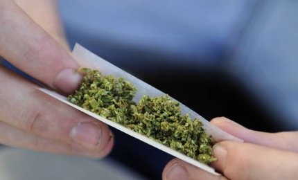 Aumentato il consumo di cannabis fra i giovani