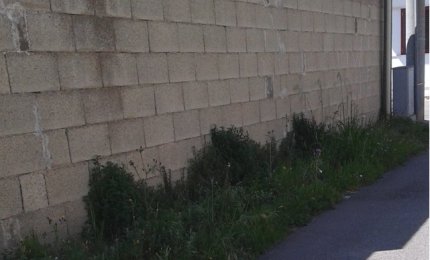 Erbe in via San Giovanni, la pulizia nei prossimi giorni