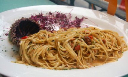“Le Piazze dei Sapori”, il Salento a Verona con le sue prelibatezze