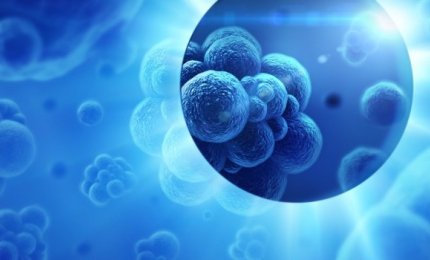 Cinquanta oncologi si confrontano a Lecce