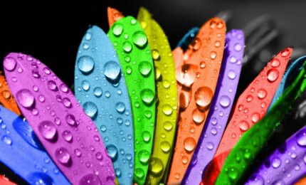 Ricavare energia dai colori delle piante