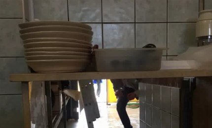 La Guardia Costiera entra in frigitoria e gli addetti si dileguano