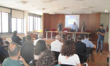 I cani randagi della provincia, un'indagine statistica