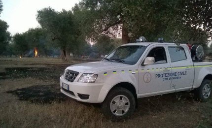 Vasto incendio distrugge un uliveto in Contrada Latronica