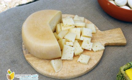 Alla scoperta del latte e dei formaggi salentini