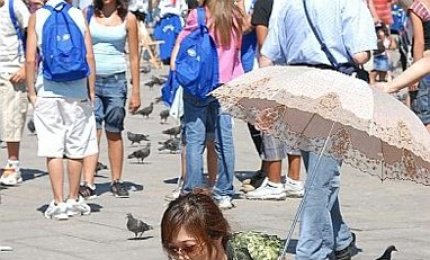 &quot;Non date da mangiare ai piccioni di Cutrofiano!&quot;