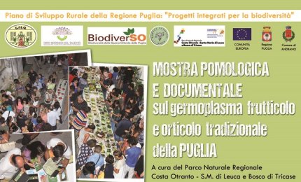 A Castiglione la mostra pomologica sui frutti di Puglia