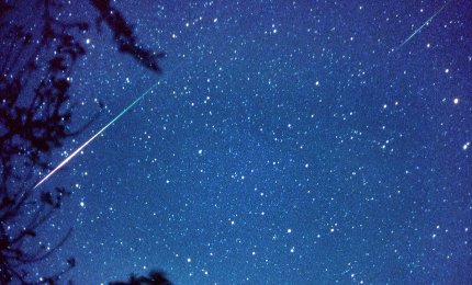 Disinfestare nella notte delle stelle cadenti