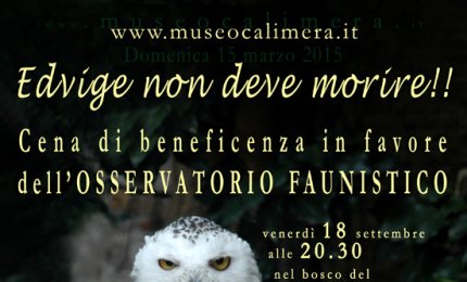 L'ultima cena al Museo di Storia Naturale