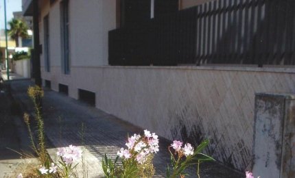 &quot;Un oleandro che ha goduto del rispetto delle bestie e degli uomini&quot;