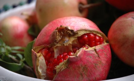 Terzo Meeting Terra e Salute con Beppe Vessicchio
