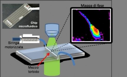 Un laser per vedere nel torbido