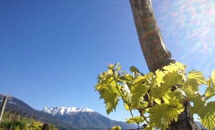 Tutto è possibile presso Dio