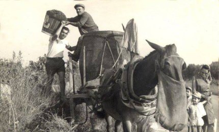 Paulucciu Spingulatisa, l'ultimo trainieri