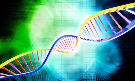 Le ossa si curano con la pelle