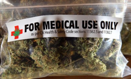 Settanta euro al giorno per curarsi con la marjuana