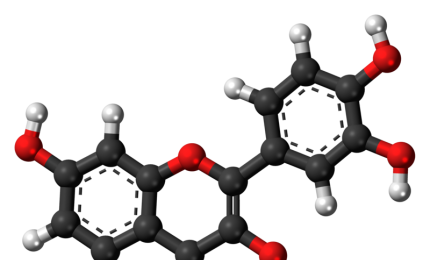 Molecole naturali contro il cancro