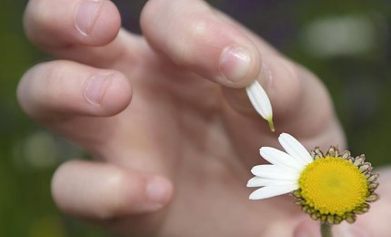 Un “non m’ama” senza ritorno