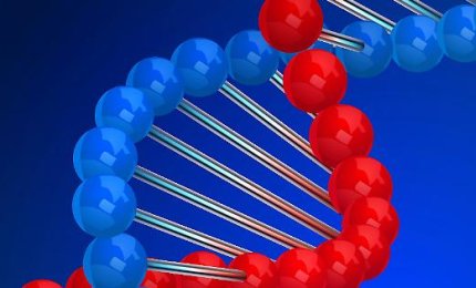 Italiana la scoperta di una nuova sostanza blocca-tumori