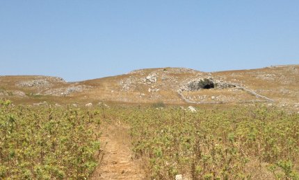  Raddrizzate i suoi sentieri! 