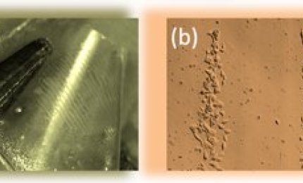 Il calore per elettrizzare pellicole che manipolano le cellule