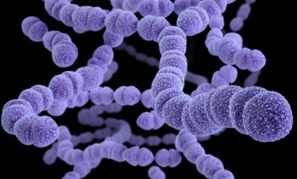 Bimbo di cinque anni in coma dopo un'otite