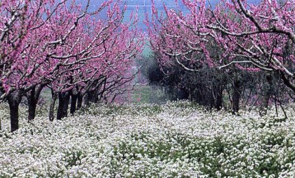 Le parole che volevi sentir dire