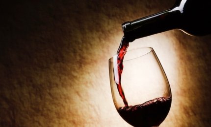 Tutte le forme del Negroamaro