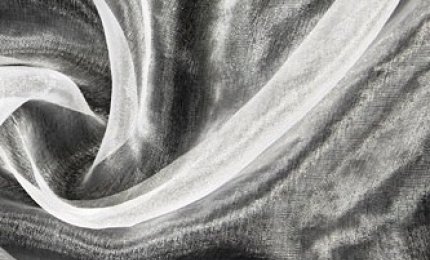 Un guinzaglio intorno al collo e un messaggio d'addio