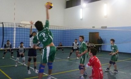 Ottimi risultati delle giovanili Showy-boys