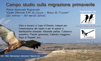 Uccelli migratori, un campo studi nel Parco Costa Otranto Santa Maria di Leuca – Bosco di Tricase