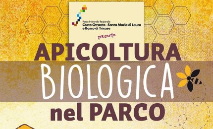 Vuoi diventare apicultore? Te lo insegna il Parco