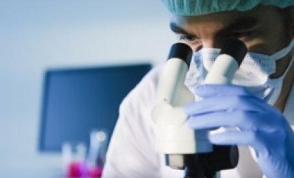 Una nuova terapia per vincere la malattia di Phelan McDermid