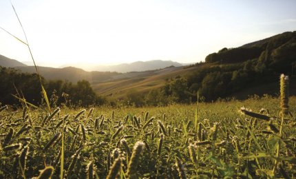 Preferire il cielo alla terra
